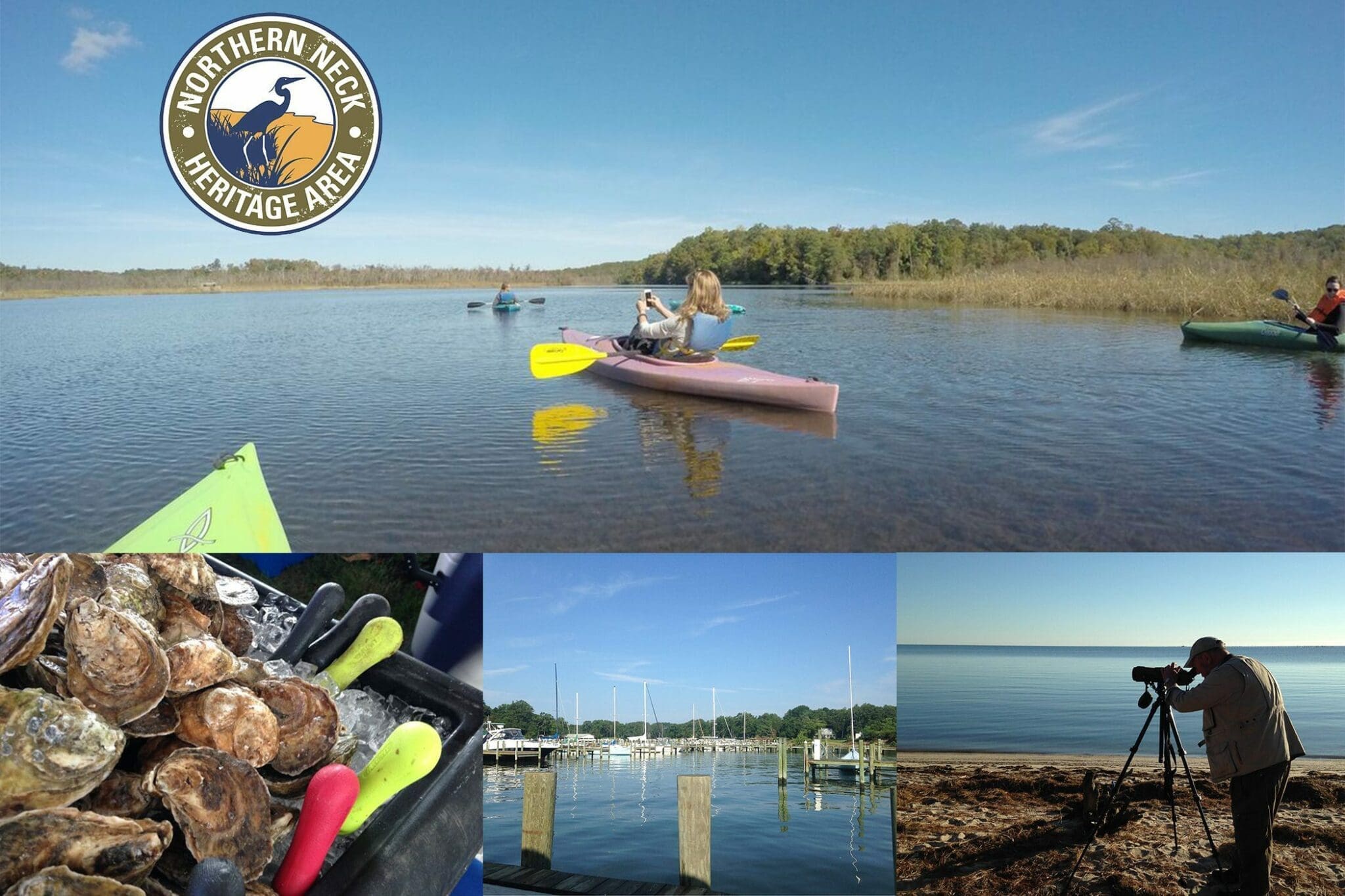 northern neck heritage area